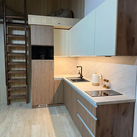 Domivka із чаном-джакузі, каміном і кіно-зоною у Cлавську Holiday home Slavske